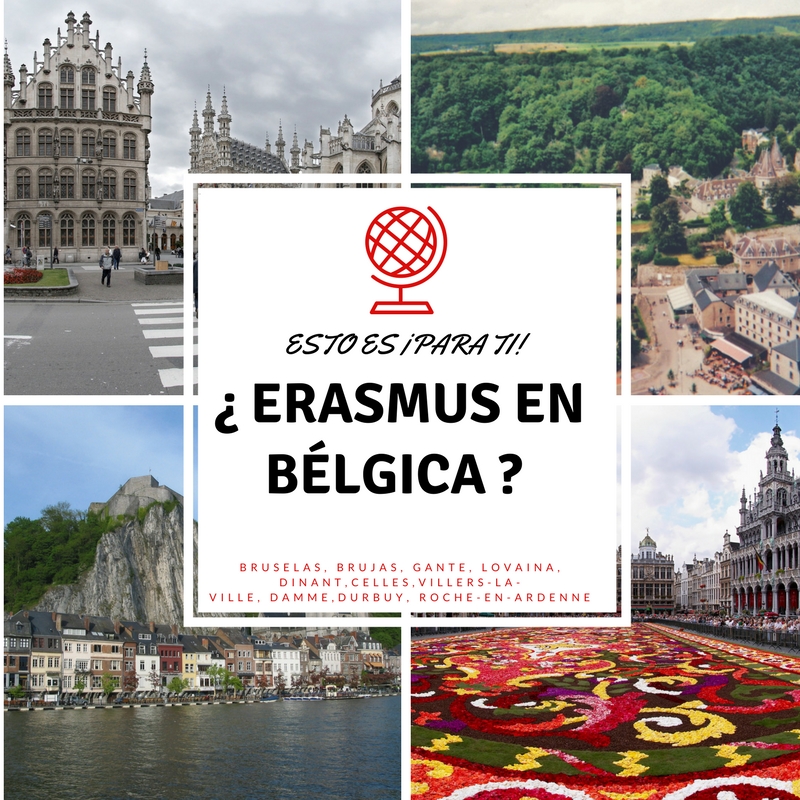 Erasmus en Bélgica