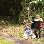 voluntariado en guatemala protección animales